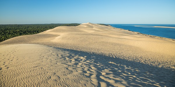 Plan large du sommet de la dune de Pilat