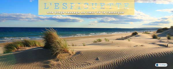 plage sauvage Espiguette Camargue
