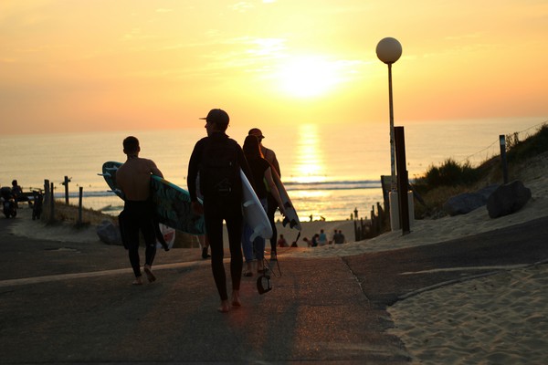 Surfeurs rejoignant la plage d’Hossegor au coucher du soleil, ambiance estivale sur la côte landaise
