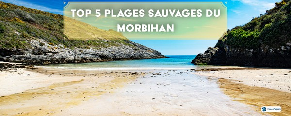 Plage sauvage du Morbihan entre falaises verdoyantes et sable doré