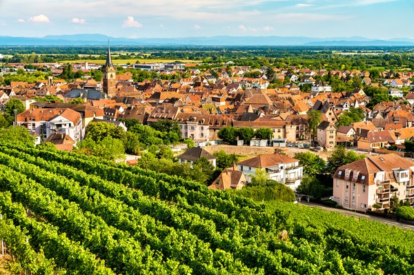 Obernai avec les vignes dans le bas rhin