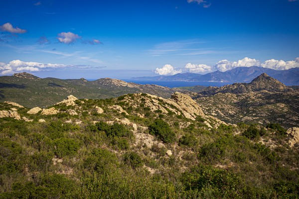 Monte Genova (421 m) dans le paysage rocheux du désert des Agriates (Désert des Agriates), Santo-Pietro-di-Tenda, Corse, France