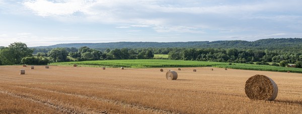 Bottes de paille à la campagne entre les villes françaises de St Quentin et Laon