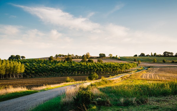 Route de campagne dans Gers, France