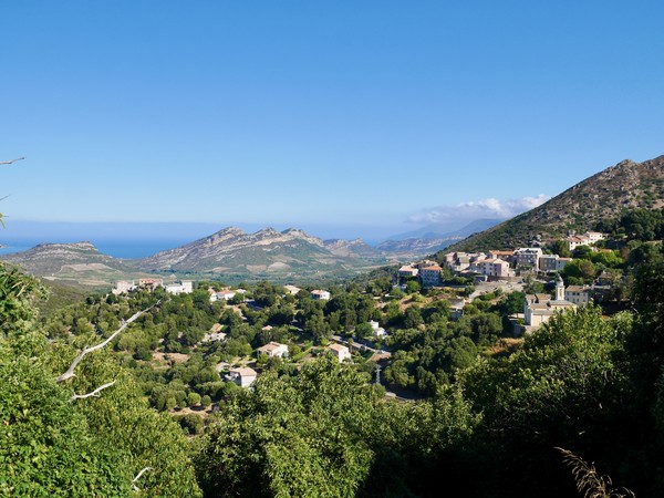 Vue aérienne des vignobles dans les collines de Patrimonio, Corse, France