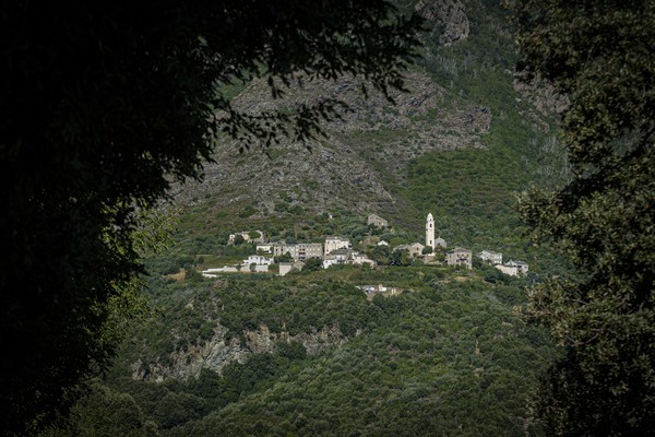 Le village de Mandriale à Santa-Maria-di-Lota et l’église de Santa-Maria Assunta, Cap Corse, Corse, France