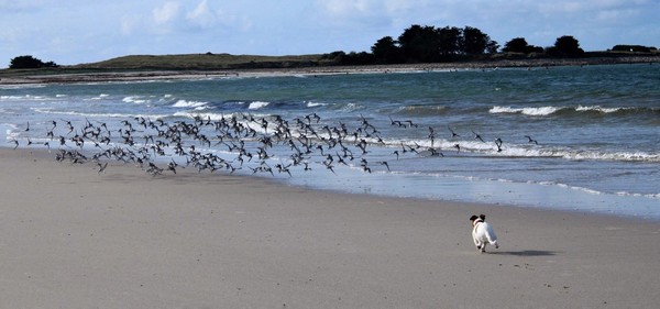 Photo principale de Trois Moutons