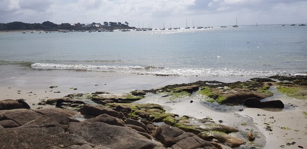 Photo principale de Anse Du Stole