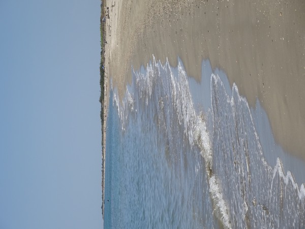 Photo principale de Les Aresquiers