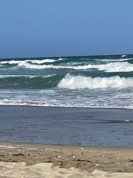 Photo principale de Plage Du Mouret