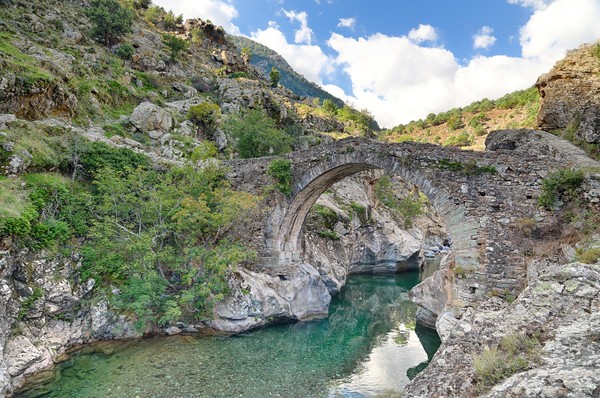 Photo principale de Pont Genois