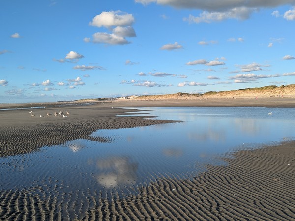Photo principale de Plage Surveillee De Quend