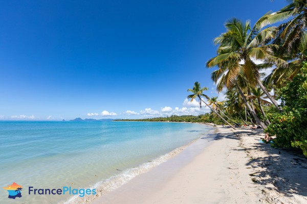 Photo principale de Gde Anse Salines:Face Local Tourisme