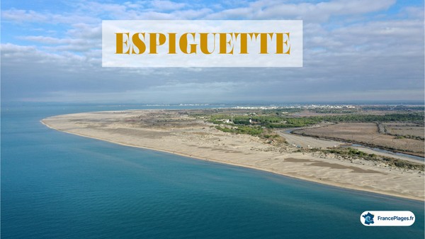 Photo principale de Pointe De L'Espiguette