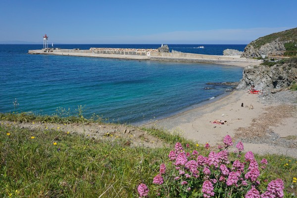 Photo principale de Plage de l'anse de l'Espeluga