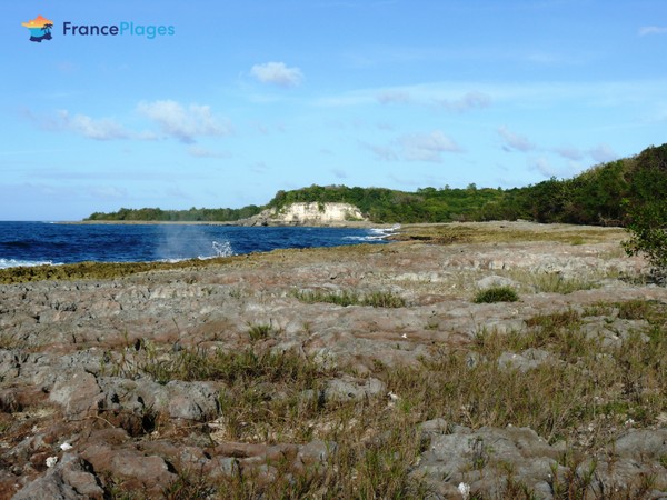 Photo principale de Anse Colas