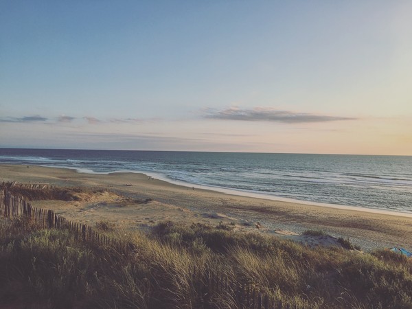 Photo principale de Plage De Contis