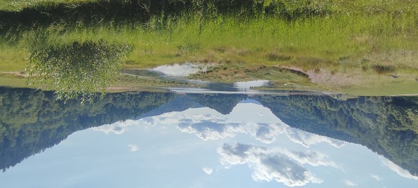 Photo principale de Lac De Kruth Wildenstein