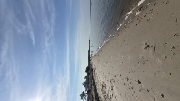 Photo principale de Baignade Amenagee De Lanton