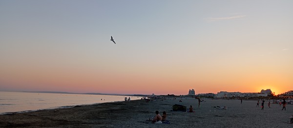 Photo principale de Plage Du Couchant
