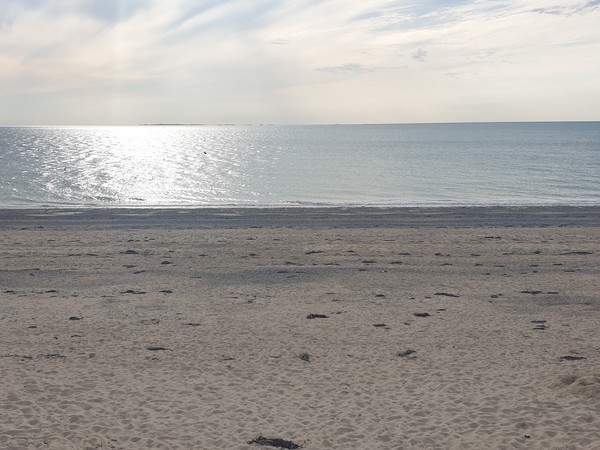 Photo principale de Face Au Cd 351