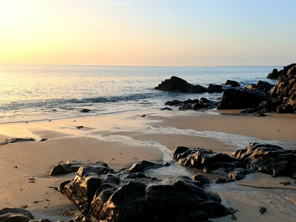 Photo principale de Le Plat Gousset