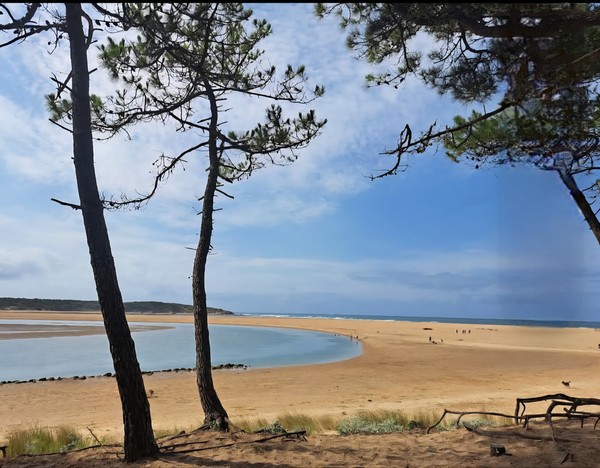 Photo principale de Le Veillon