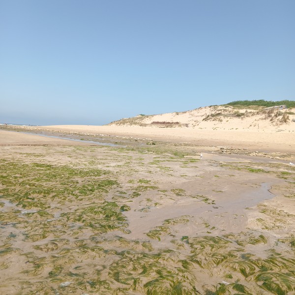 Photo principale de Le Phare