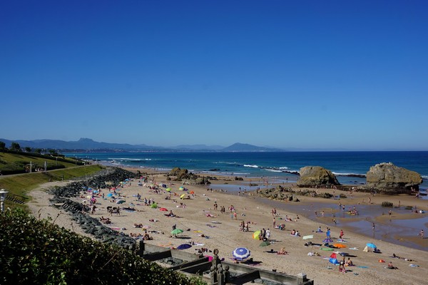 Photo principale de Milady