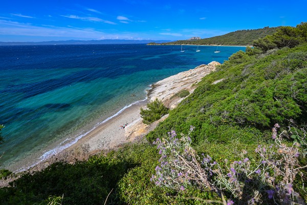 Photo principale de Porquerolles-Grande Plage (Courtade)