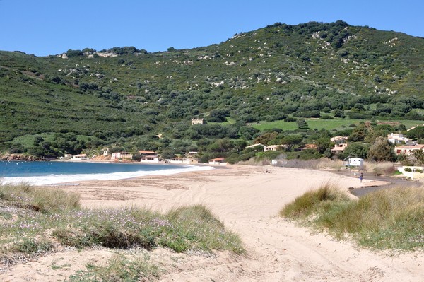 Photo principale de Plage De Lava