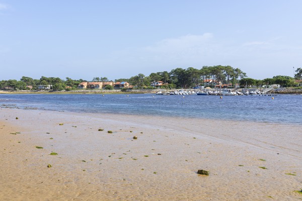 Photo principale de Plage Du Courant