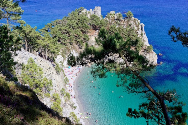 Photo principale de L'île vierge