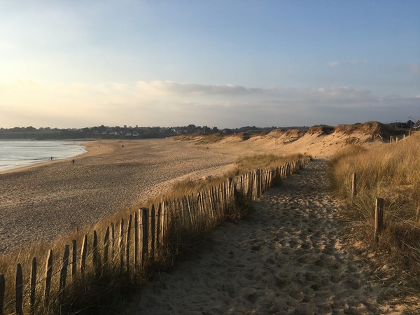 Photo principale de La Falaise