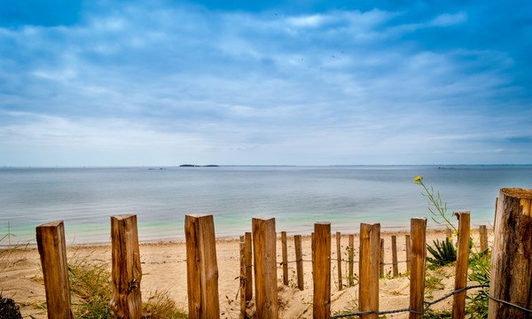 Photo principale de La Falaise