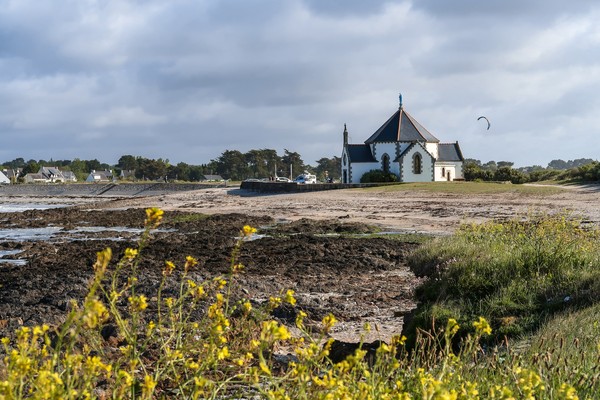 Photo principale de Penvins