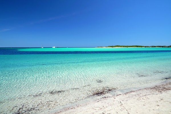 Photo principale de Piantarella