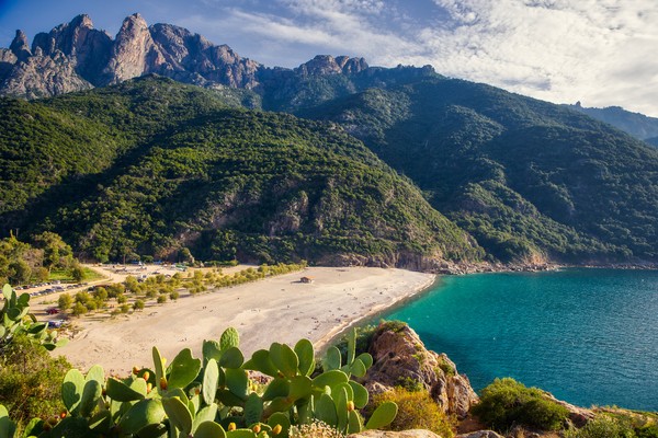 Photo principale de Porto Plage