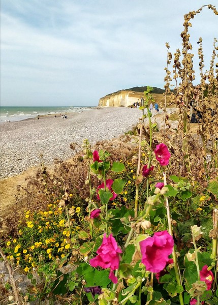Photo principale de Quiberville-Plage