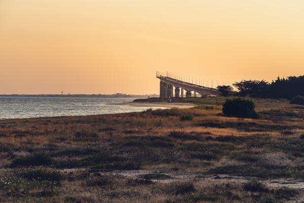 Photo principale de Plage Nord