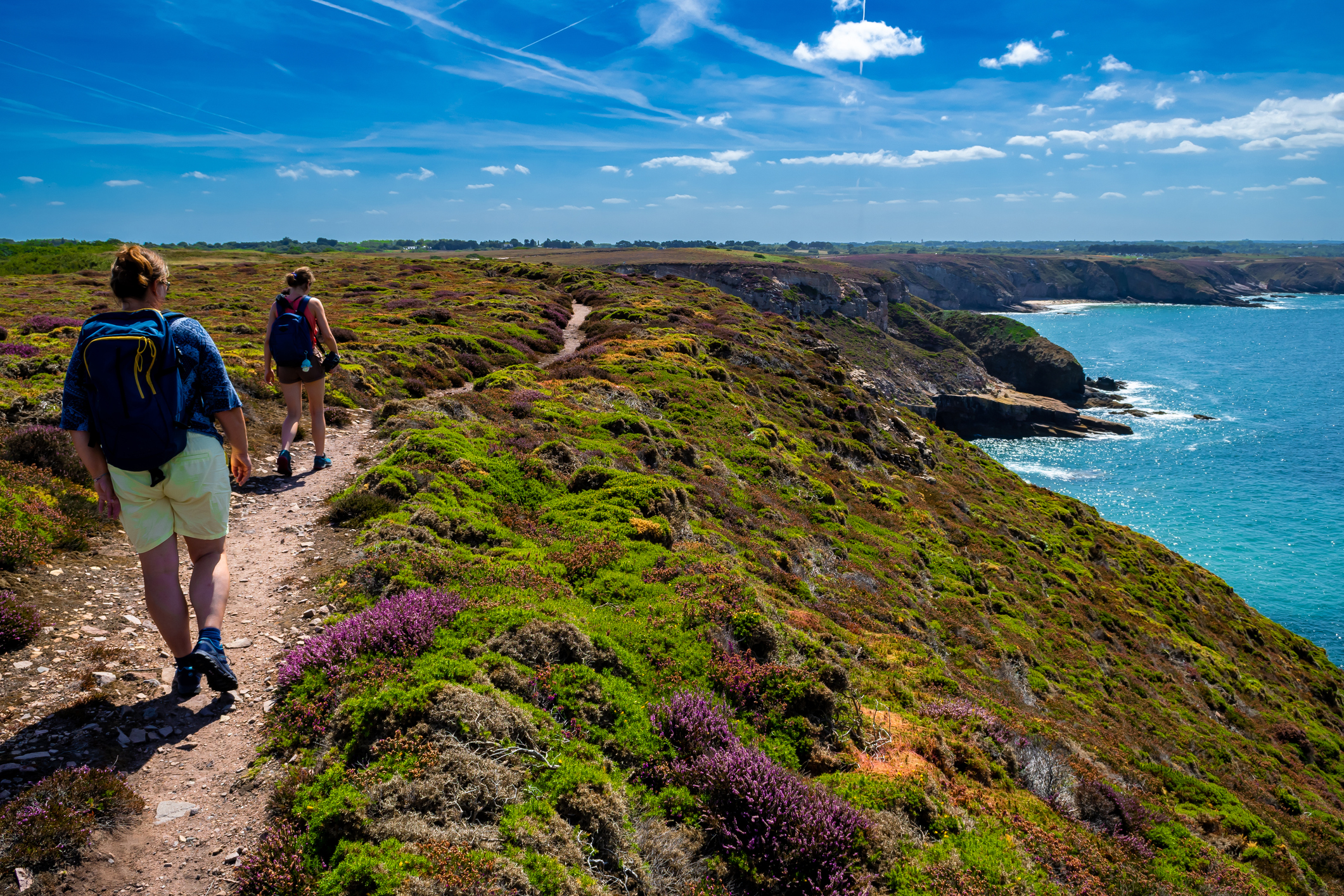 Falaises et sentier de randonnée sur la côte atlantique du Cap Fréhel en Bretagne, France