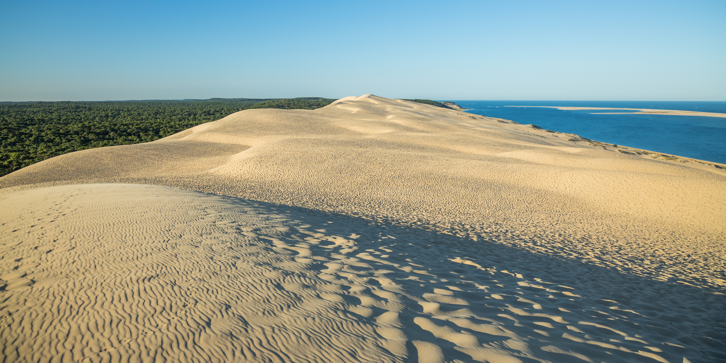 Plan large du sommet de la dune de Pilat