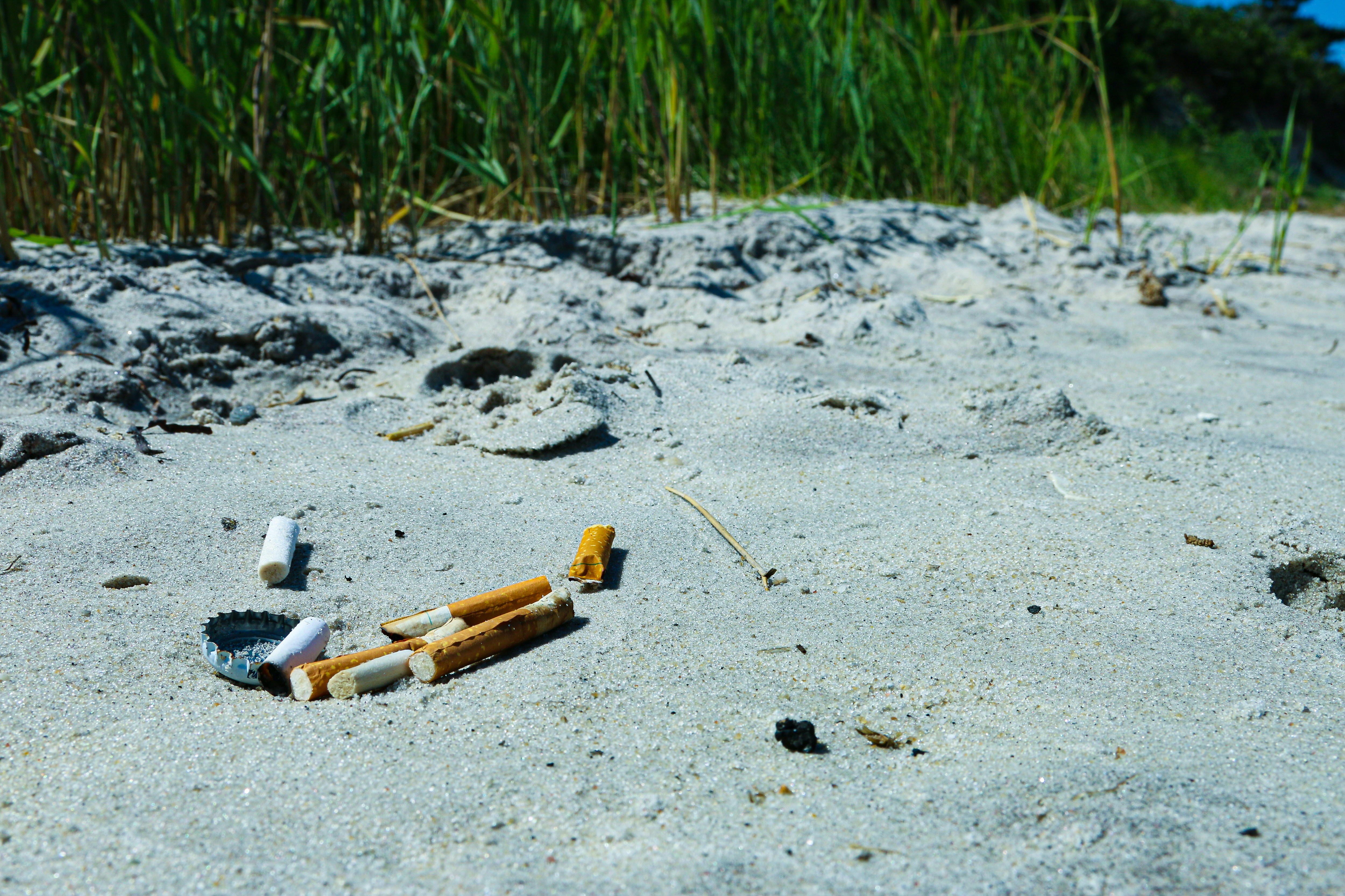 Des mégots de cigarette abandonnés sur le sable d'une plage – symbole de la pollution causée par le tabac