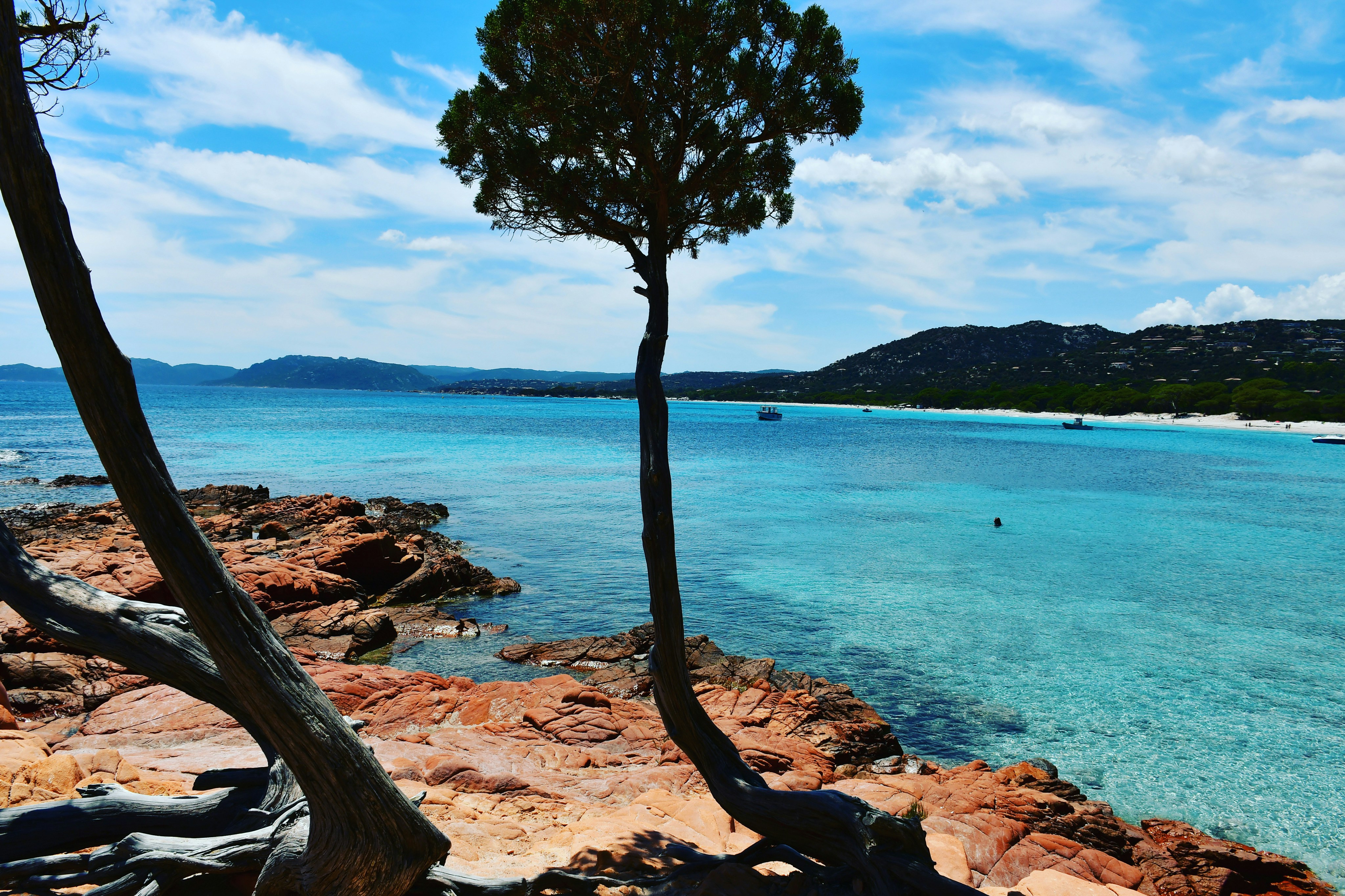 Corse-du-Sud